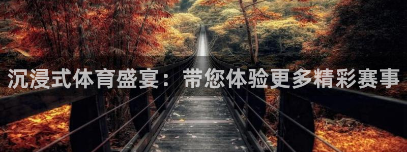 劲爆体育在线直播观看上海三打一：沉浸式体育盛宴：带您体验更多精彩赛事
