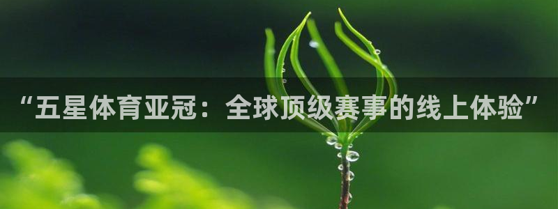 劲爆体育直播单：“五星体育亚冠：全球顶级赛事的线上体验”