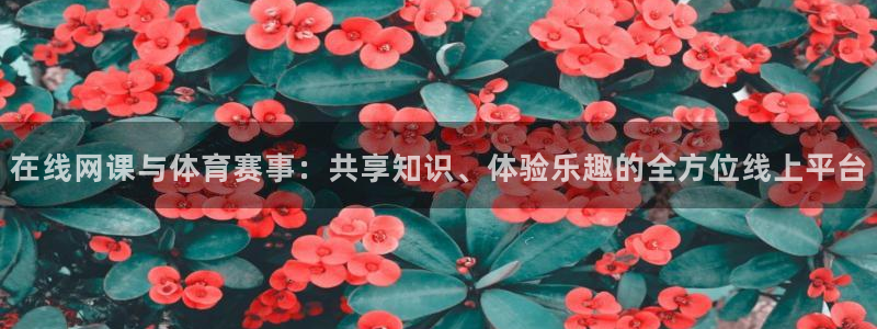 劲爆体育直播免费观看nba：在线网课与体育赛事：共享知识、体验乐趣的全方位线上平台